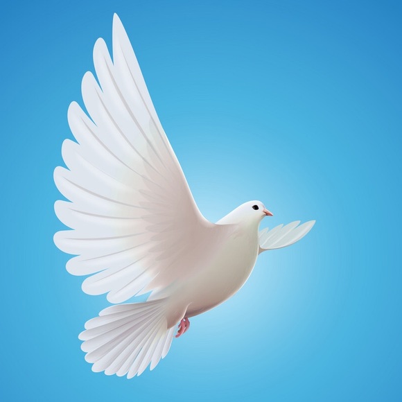 mzdove1